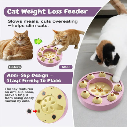 Pet Puzzle Toy