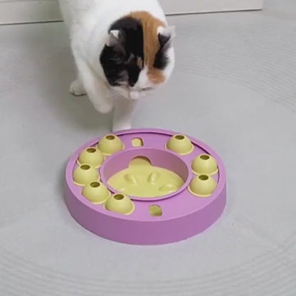 Pet Puzzle Toy